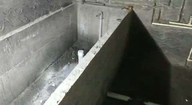Kolo Image