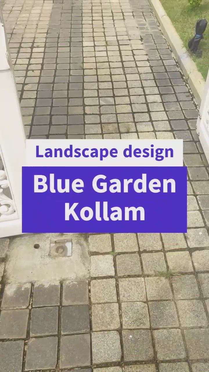 Outdoor Designs by Gardening & Landscaping Blue Garden Interiors  Exteriors , Kollam | Kolo