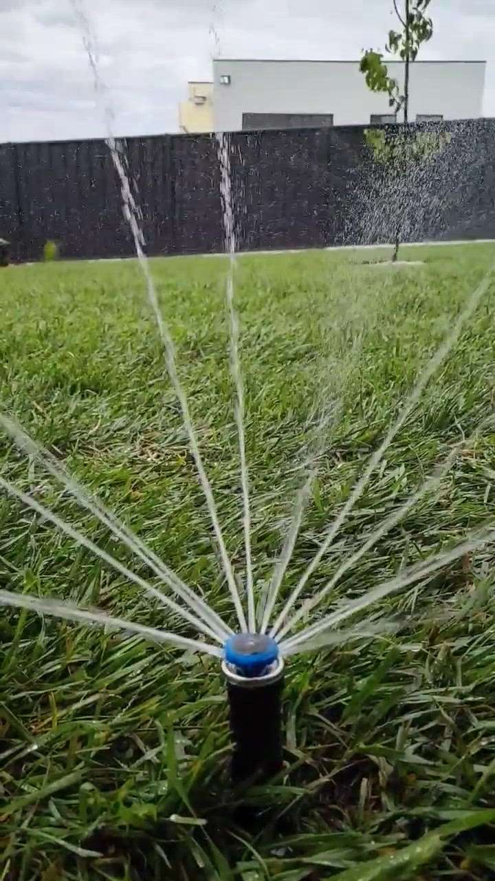 Kolo Image