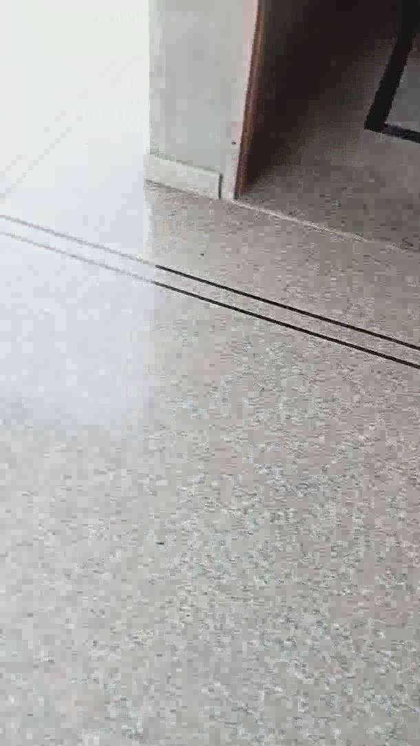 Flooring Designs by Flooring p k  p, Sikar | Kolo