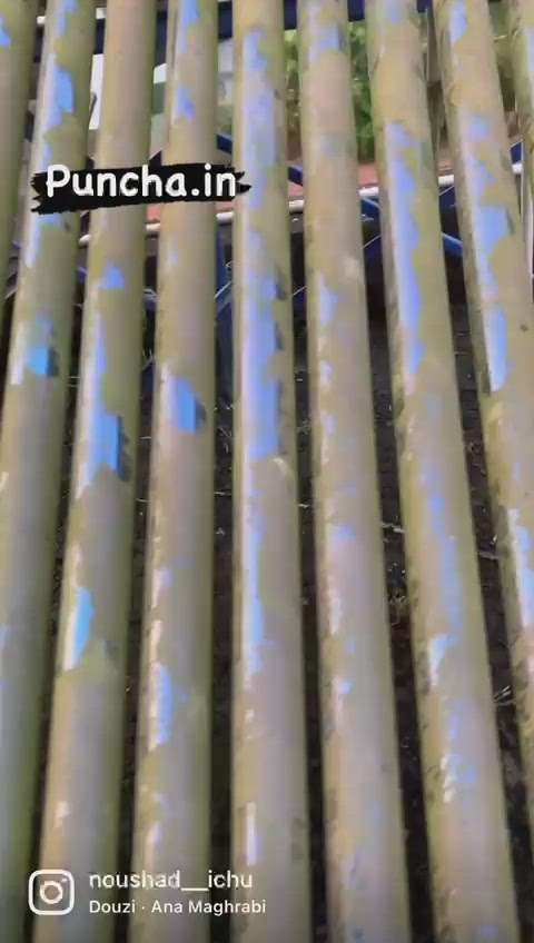 Kolo Image