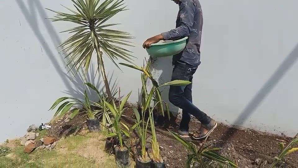 Outdoor Designs by Gardening & Landscaping AKASH KOTHARI, Indore | Kolo