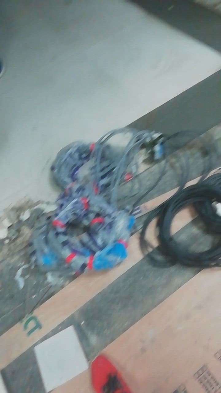 Kolo Image