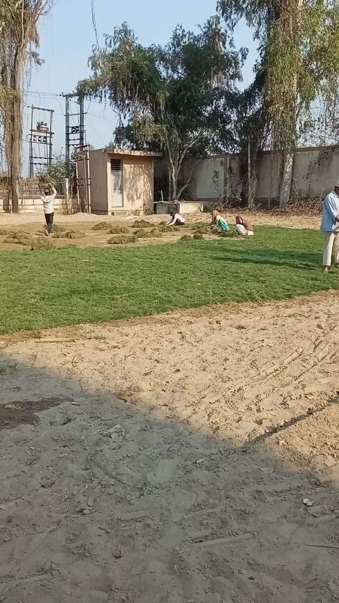 Kolo Image