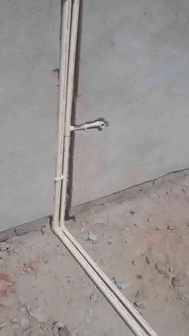 Kolo Image
