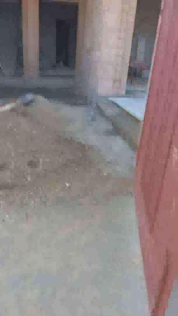 Exterior Designs by Flooring vijay kumar, Jodhpur | Kolo