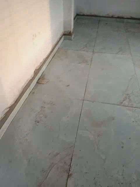 Kolo Image