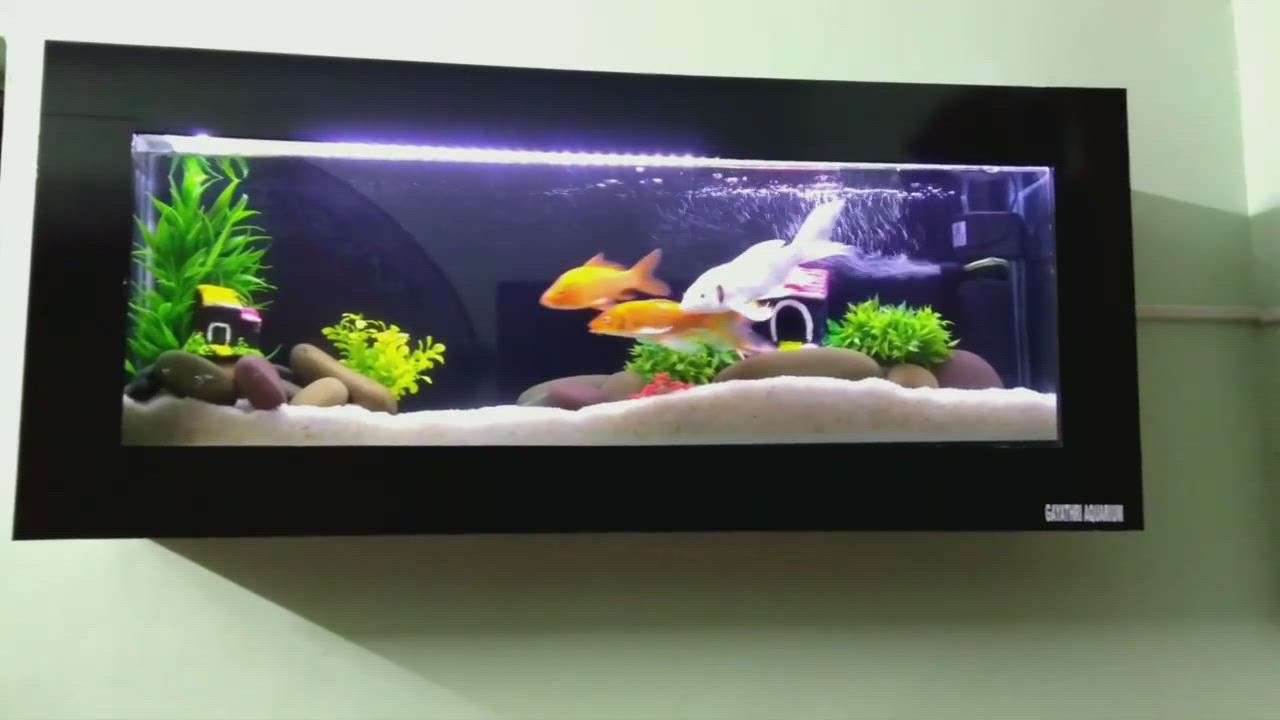 Home Decor Designs by Service Provider Gayathri  Aquarium, Thrissur | Kolo