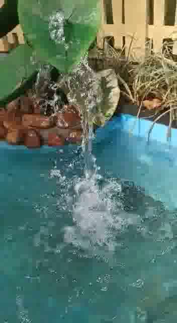Kolo Image