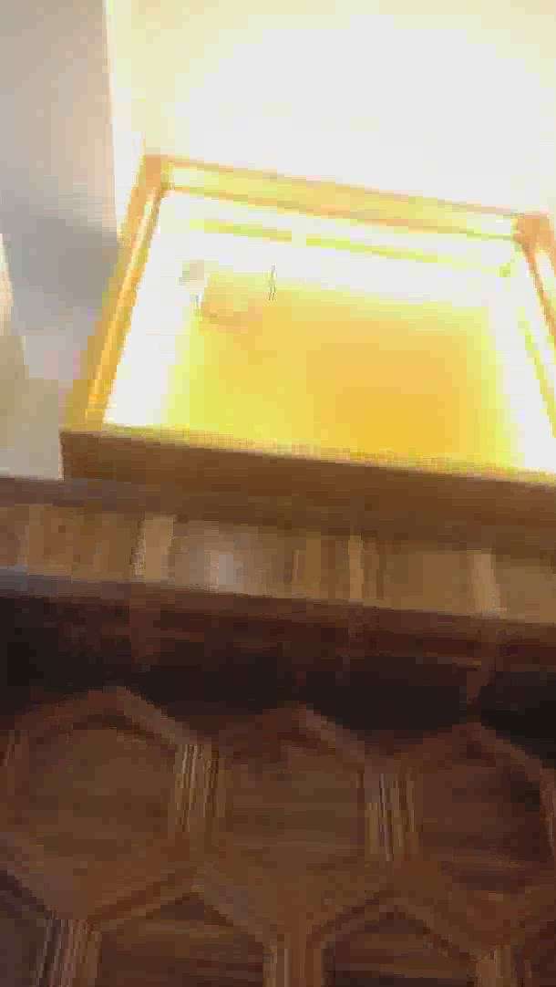 Kolo Image