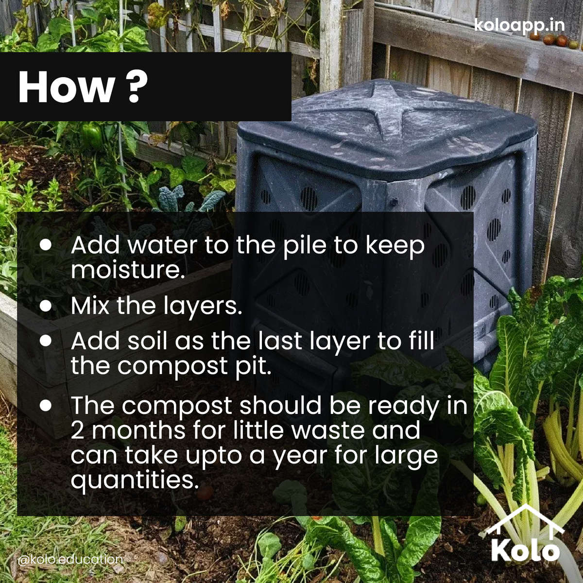 Designs by Service Provider KOLO EDUCATION OFFICIAL , Ernakulam Kolo