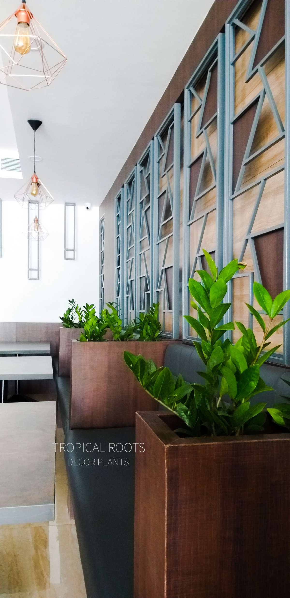 table partition for restaurant with indoor plants #indoor plants arrangement by tropical roots landscaping kochi.