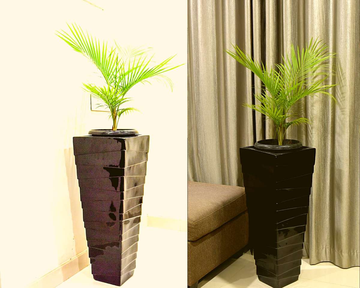Garden Upgrades
Beautiful Ondoor Fibre Planters

various models, colours and customisation available

contact us for more details 

 #planters  #IndoorPlants  #gardening  #conceptscalicut  #InteriorDesigner  #BedroomDecor
