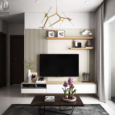 Living, Storage Designs by Interior Designer shahul   AM , Thrissur | Kolo