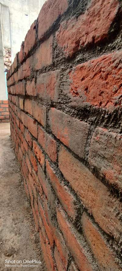 Wall Designs by Contractor Omprakash kumawat, Jaipur | Kolo