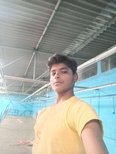 Kolo Image