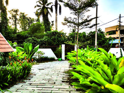 Flooring Designs by Gardening & Landscaping Ar Sarish Sathyan, Thrissur | Kolo