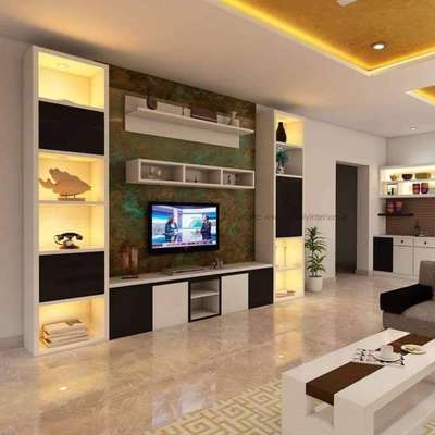 Storage, Living, Lighting, Home Decor Designs by Carpenter Sakib Saifi, Ghaziabad | Kolo