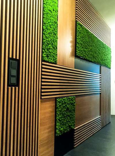 Wall Designs by Contractor Danish Khan, Gurugram | Kolo