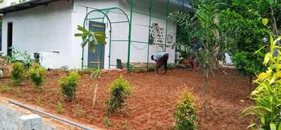 Outdoor Designs by Gardening & Landscaping Town mate, Kottayam | Kolo