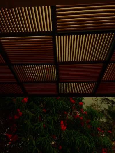 Ceiling Designs by Architect matfy designs, Kozhikode | Kolo