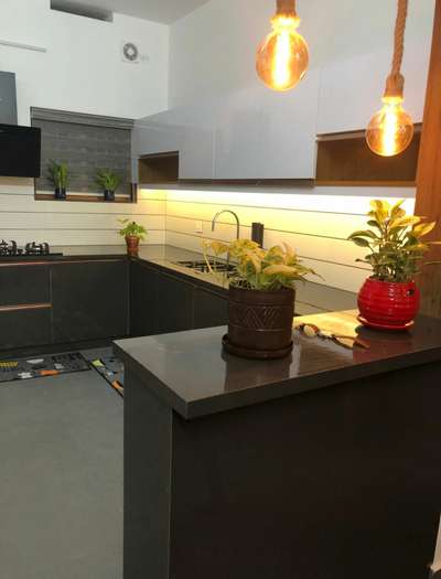 Kitchen, Storage, Lighting Designs by Interior Designer MARSHAL AK, Thrissur | Kolo