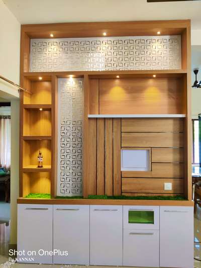 Lighting, Living, Storage Designs by Interior Designer sujith kannan, Pathanamthitta | Kolo
