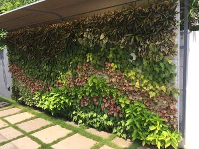  Designs by Gardening & Landscaping Abdul Kalam, Thrissur | Kolo