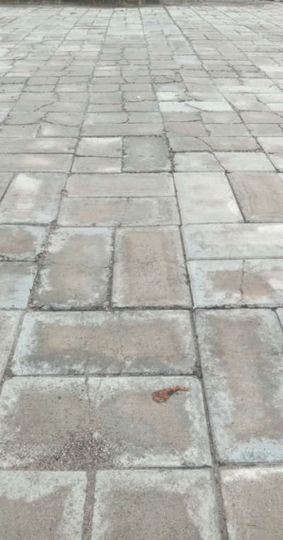 Flooring Designs by Building Supplies RAHUL Sahni  Raj Mistri , Darbhanga | Kolo