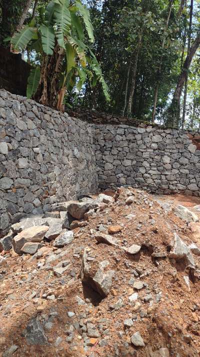 Wall Designs by Contractor ls pullad , Pathanamthitta | Kolo