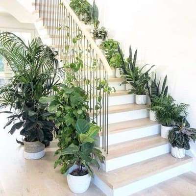 Home Decor, Staircase Designs by Contractor Thomas Mathew, Pathanamthitta | Kolo