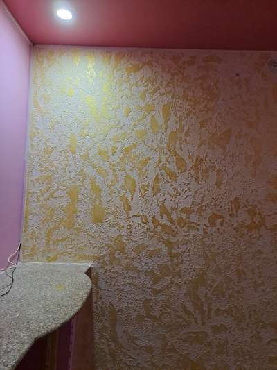 Wall Designs by Painting Works Rkv Verma, Ajmer | Kolo