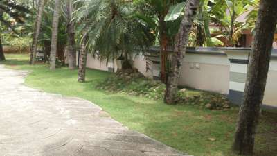 Outdoor Designs by Gardening & Landscaping Reji RR, Thiruvananthapuram | Kolo