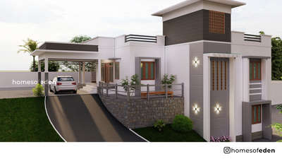 Kolo Image