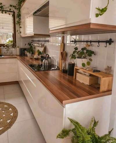 Kitchen, Storage Designs by Architect kmr Rakesh, Ernakulam | Kolo