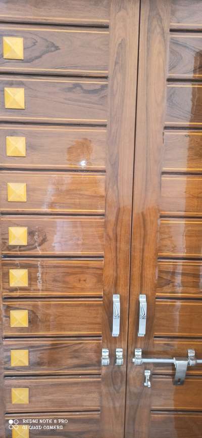 Door Designs by Painting Works Dinesh Tak, Ajmer | Kolo