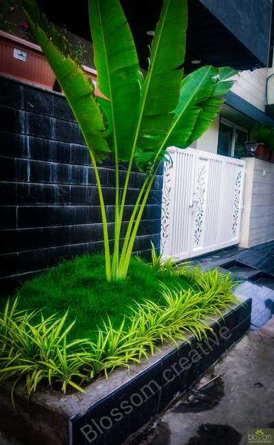 Outdoor Designs by Gardening & Landscaping AKASH KOTHARI, Indore | Kolo