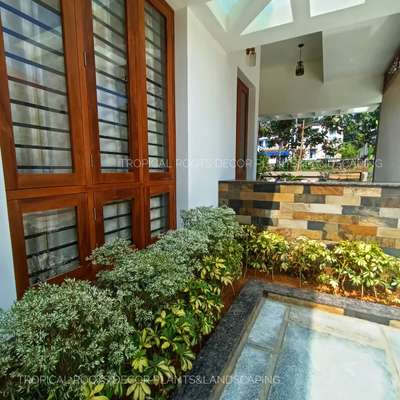Window Designs by Gardening & Landscaping Tropical Roots LandscapingAjeesh, Ernakulam | Kolo