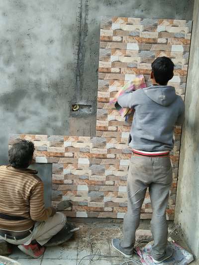 Wall Designs by Contractor Shahrukh Saifi, Delhi | Kolo