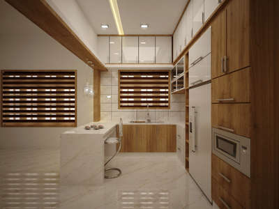 Ceiling, Lighting, Kitchen, Storage, Window Designs by Interior Designer sajin sunny, Thrissur | Kolo