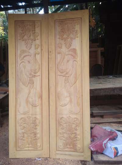 Door Designs by Service Provider Rarin L R, Thiruvananthapuram | Kolo