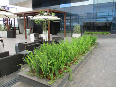 Outdoor Designs by Contractor sunil sp, Kozhikode | Kolo