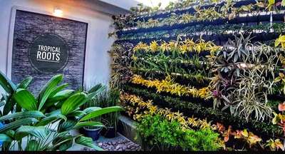 Wall Designs by Gardening & Landscaping Tropical Roots LandscapingAjeesh, Ernakulam | Kolo