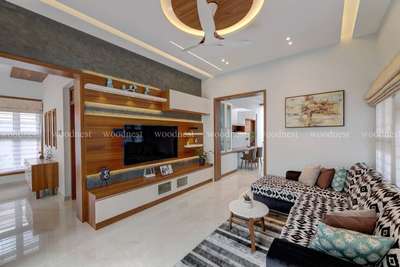Furniture, Lighting, Living, Ceiling, Storage Designs by Carpenter Sanjeet Carpenter hindi, Thrissur | Kolo
