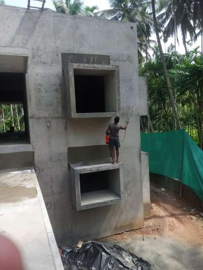 Wall Designs by Contractor TK waterproofing solution, Kozhikode | Kolo