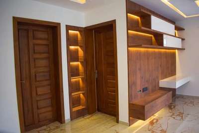 Storage, Lighting, Door Designs by Architect Gokuldev  BS, Kollam | Kolo