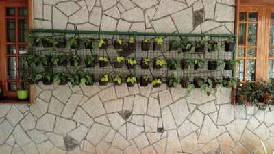 Wall Designs by Gardening & Landscaping Vishnu Gopal, Alappuzha | Kolo