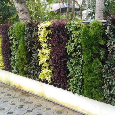 Outdoor Designs by Water Proofing Shiju G, Thiruvananthapuram | Kolo