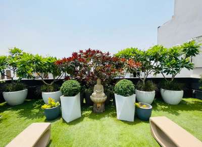 Outdoor Designs by Gardening & Landscaping Earthvine India, Gurugram | Kolo