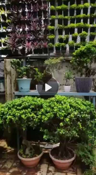Outdoor Designs by Gardening & Landscaping joys garden, Thrissur | Kolo